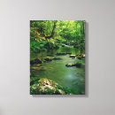 Suche nach tennessee leinwandbilder Landschaft