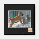 Suche nach heuschrecke magnete Ich kann habe cheezburger