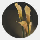 Recherche de calla autocollants Fiançailles