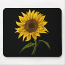 Suche nach sie sind mein sonnenschein mousepads Sonnenblume
