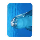 Suche nach delphin magnete Blau