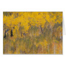 Recherche de peuplier cartes postales Jamie