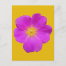 Suche nach wilde rosen postkarten Wildblume