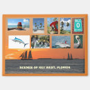 Suche nach ausblick magnete Natur