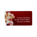 Recherche de orchidée rouge Bordeaux