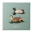 Recherche de canards carreaux Nature