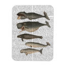 Recherche de baleine magnets Animaux