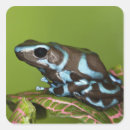 Suche nach reptilien aufkleber Tierwelt
