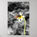 Suche nach bestäubung poster Bienen