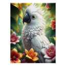 Recherche de perroquets posters Impression de perroquet