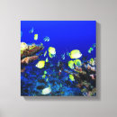 Suche nach korallenriff poster leinwandbilder Fisch