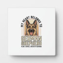 Recherche de chien berger allemand plaques Loup