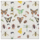 Suche nach insekt bastel zubehör Schmetterling