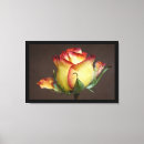 Recherche de rose rouge simple art Pour eux