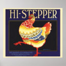 Suche nach hahn huhn huhn henne poster Nutztier