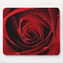 Recherche de pétale rose tapis souris Pétales