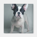 Suche nach french bulldog magnete Junges tier