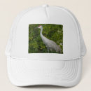 Recherche de oiseaux casquettes Animal