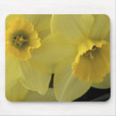 Suche nach narzisse mousepads Flora