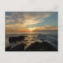 Suche nach la jolla san diego postkarten Natur
