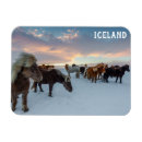 Recherche de gland magnets Mignon