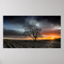 Recherche de criques art Neige