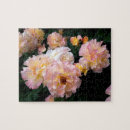Suche nach gelbe rose puzzle Blüte