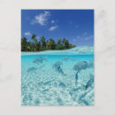 Suche nach fischerei postkarten Meeresfrüchte