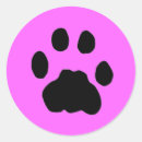 Suche nach cougar aufkleber Tiere