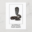 Suche nach kobra postkarten Reptil