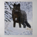 Suche nach wolfs poster Wild lebende tiere