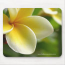 Recherche de frangipani tapis souris Fleurs