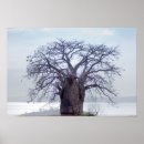 Suche nach angola poster Farbbild