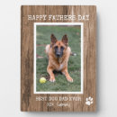 Recherche de chiens plaques Dad