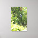 Suche nach hinterhof leinwandbilder Vogel