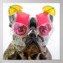 Recherche de chien bouledogue art Frenchie