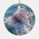 Suche nach haifische ornamente Ozean