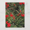 Suche nach rote beeren postkarten Weihnachten