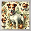 Suche nach jack russell terrier poster Welpe