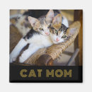 Recherche de cat magnets Tendance