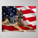 Recherche de troupeau posters Chiot