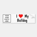 Suche nach bulldoggen autoaufkleber Hund