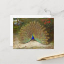 Recherche de papillon bleu turquoise cartes postales Émeraude