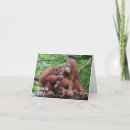 Recherche de orangs outans vœux cartes Zoo