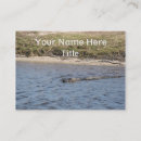 Recherche de reptiles cartes visite Gator
