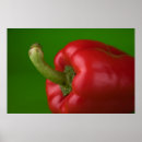 Suche nach grüner paprika poster Nahrung