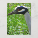 Suche nach heldin postkarten Natur