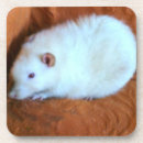 Suche nach rat untersetzer Niedlich