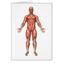 Suche nach bein anatomie postkarten Digital generiertes bild