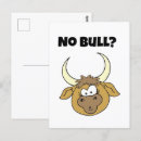 Suche nach lustiger stier postkarten Cartoon